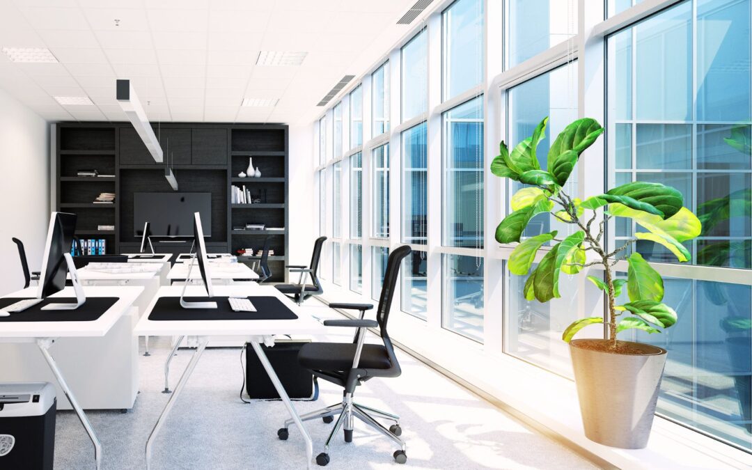 Updating Office Spaces for Modern Workplaces