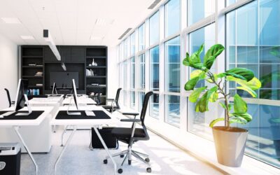 Updating Office Spaces for Modern Workplaces