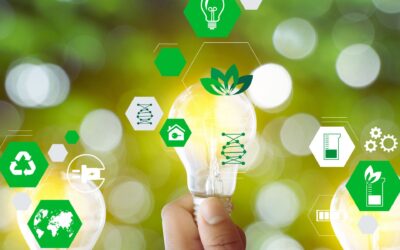 The Role of Sustainability in Commercial Remodeling Projects