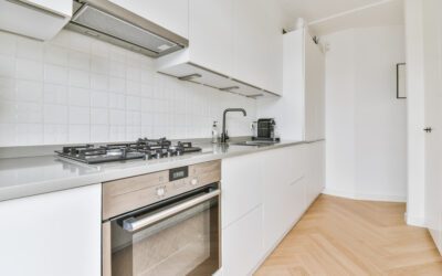 Compact Kitchen Optimization for California Homes