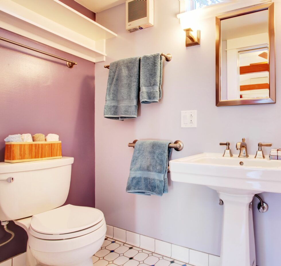 small-bathroom-remodel-on-a-budget-dreamhome